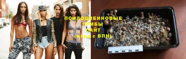 трава Верхний Тагил