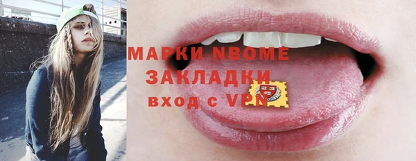 амф Верея