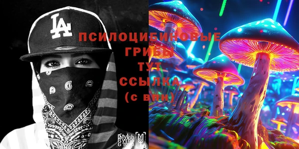 амф Верея