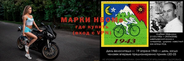амф Верея