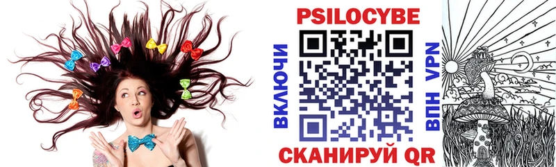 omg маркетплейс  где можно купить   Кинешма  Галлюциногенные грибы Psilocybine cubensis 